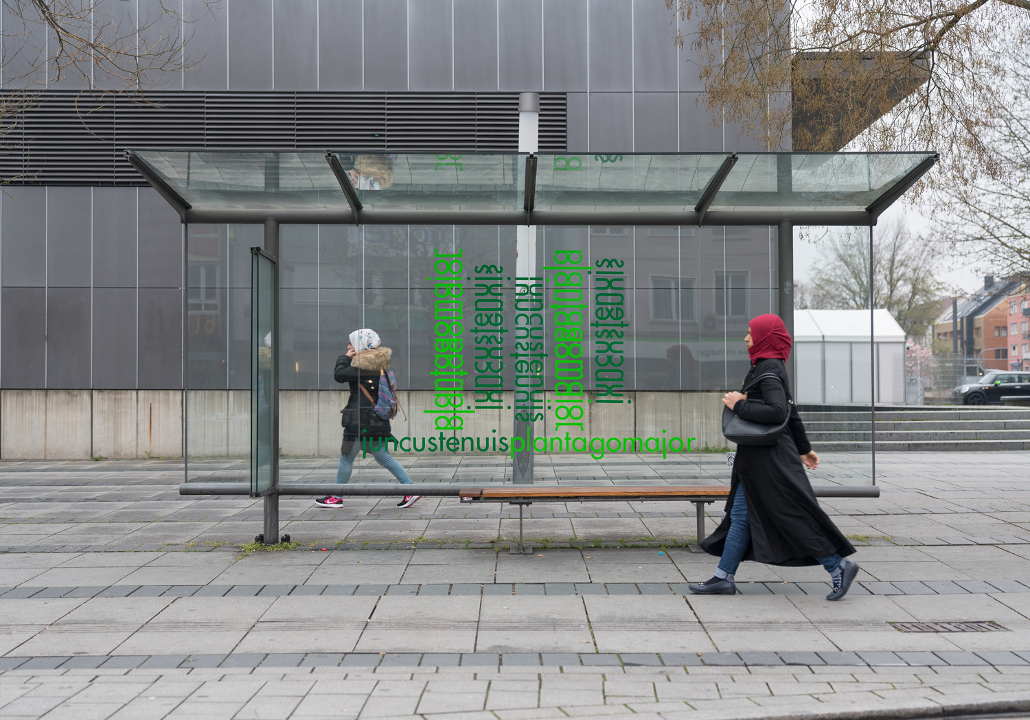 Kunstverein Heilbronn, Migration und Pflanze von Silke Wagner